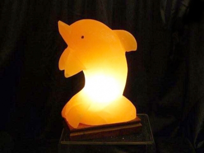 Dolphin Salt Lamp