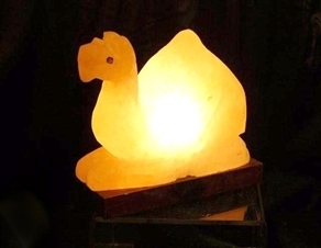 Camel Salt Lamp