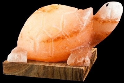 Tortoise Salt Lamp